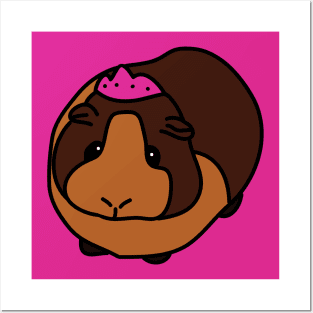 Guinea Pig Princess Posters and Art